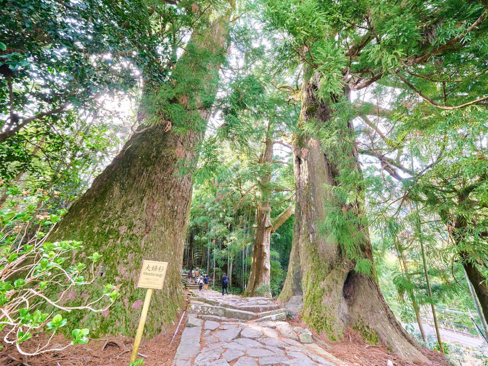 Kokoyui Guest House Nachikatsuura Exterior photo